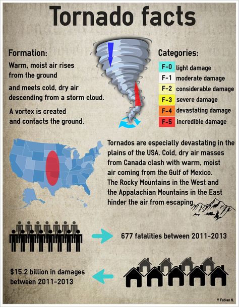 Tornado Facts, Earth Science Projects, Tornado Pictures, Weather Lessons, School Library Displays, Weather Science, Storm Chaser, 7th Grade Science, Storm Chasing