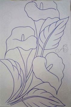 Hur Man Ritar Blommor, Lilies Drawing, Flower Art Drawing, Flower Sketches, Pola Sulam, 수채화 그림, Calla Lilies, Pencil Art Drawings, Flower Art Painting