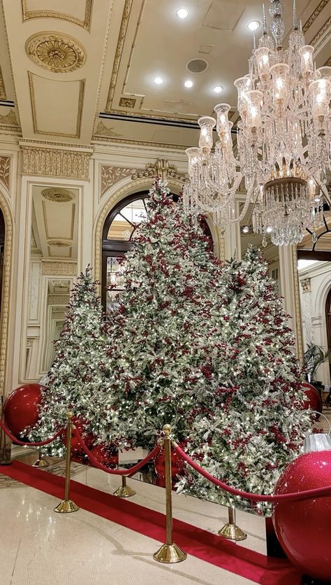 Plaid Winter Outfit, Plaza Hotel Christmas, Hotel Christmas Tree, Nyc Christmas Aesthetic, Nyc Preppy, Christmas Aesthetic Winter, New York Christmas Time, Christmas In New York Aesthetic, Eloise At The Plaza