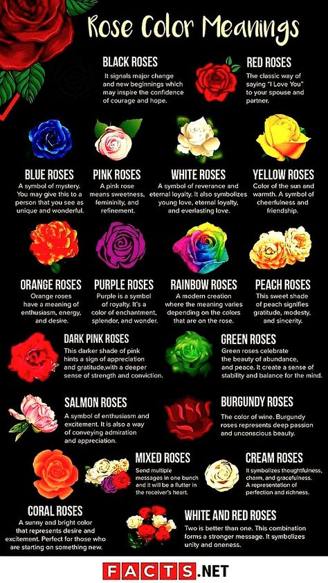 Flowers And Their Meanings, Different Color Roses, Rose Color Meanings, Flower Meanings, Color Meanings, Rose Color, Different Colors, Flowers, Quick Saves