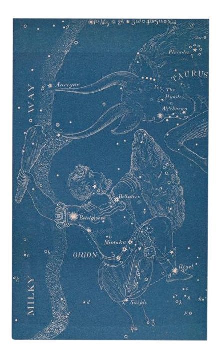 Constellations of Orion and Taurus. Printed from antique astronomy book plate. Printed 18 x 10" on heavyweight enhanced matte paper. Edition of 100. #1/100. Please allow two week for delivery due to printing to order. less Planet Astrology, Taurus Print, Orion Constellation, Astronomy Constellations, Moon Reading, Life Purpose, Astronomy, Constellations, Matte Paper