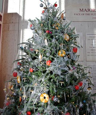 World's Strangest Holiday Traditions Ukrainian Christmas, Christmas Spider, Black Christmas Trees, Weird Holidays, Spider Webs, Halloween Trees, Christmas Tree Themes, Christmas Morning, Unique Christmas