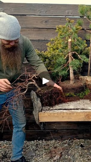 176K views · 58K reactions | Bonsai forest experiment with mixed species

🦌Creative composition by @bonsaifangorn 

#FOREST #bonsaiforest #bonsaitrees #bonsaicomposition #bonsaisociety #bonsaieurope | Forest | forest · Original audio Creative Composition, Bonsai Forest, Hillside Landscaping, Bonsai Garden, April 27, Bonsai Tree, Garden Projects, The Forest, Garden Art