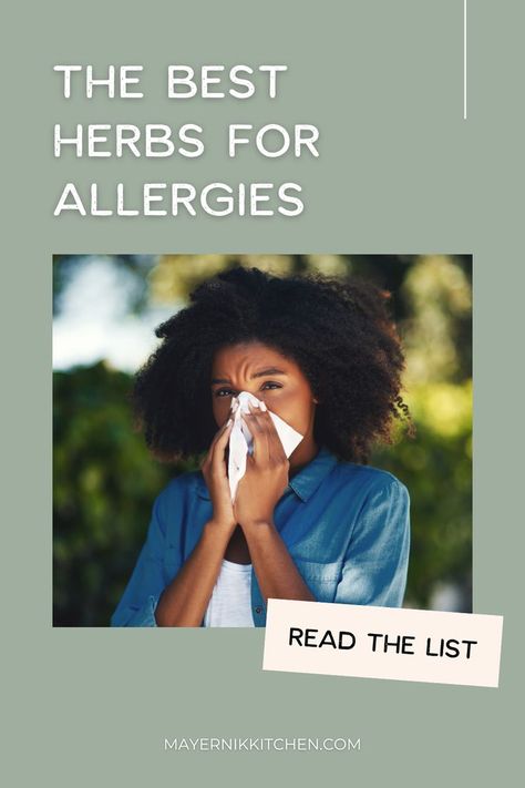 Are you suffering from allergies? We share the best herbs for allergy relief that are all natural remedies for your allergy symptoms. Some of the best herbs for allergies include goldenrod, stinging nettle, and mullein. If you're searching for natural allergy remedies, then be sure to check out our goldenrod tincture, goldenrod salve, mullein tincture, and stinging nettle tincture. These natural remedies will help reduce inflammation, ease congestion, and help with hives and rashes. Shop now! Goldenrod Salve, Stinging Nettle Tincture, Goldenrod Tincture, Natural Allergy Remedies, Mullein Tincture, Herbs For Allergies, Ragweed Allergy, Nettle Tincture, Medicinal Herbs Remedies