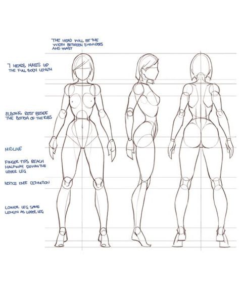 Repinned by www.BlickeDeeler.de bluetaffy: Not a huge fan of this style but it's a good ref.: Character Design Cartoon, Anatomy Tutorial, Body Sketches, Human Figure Drawing, Human Drawing, Anatomy Sketches, Body Reference Drawing, Body Anatomy, Female Anatomy