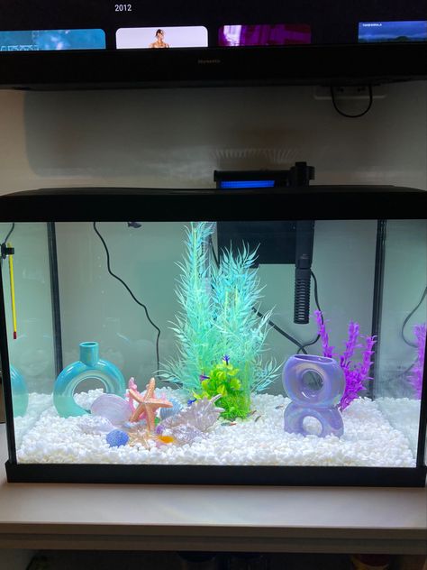 Colorful Fish Tank Ideas, Aesthetic Aquarium Ideas, Aesthetic Fishtanks, Cute Fish Tanks Ideas, Small Fish Tank Aesthetic, Girly Fish Tank Ideas, Small Fish Tank Decor Ideas, Pet Fish Aesthetic Tank, Preppy Fish Tank