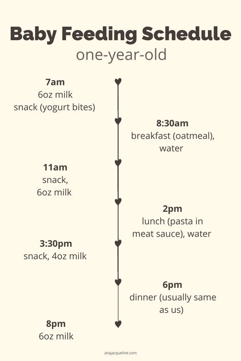 1 Year Feeding Schedule, Feeding Schedule 1 Year, Toddler Feeding Schedule, One Year Old Feeding Guide, 12 Month Old Feeding Schedule, 12 Month Feeding Schedule, One Year Old Milk Schedule, 12 Month Old Eating Schedule, One Year Old Food Schedule