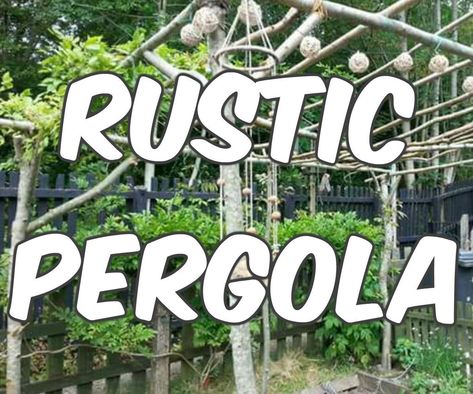 Rustic Pergola, Useful Projects, Wood Pergola, Porch Area, Iron Lanterns, Covered Pergola, Pergola With Roof, Solar Powered Lights, Pergola Plans