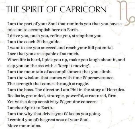 Capricorn Sun Sign, Capricorn Sun, Astrology Houses, Capricorn Aesthetic, Sagittarius Quotes, Capricorn Life, Libra Man, Life Vision, Learn Astrology