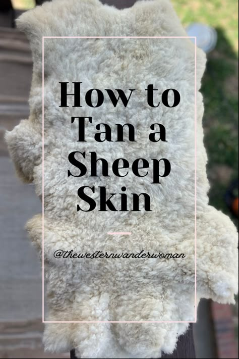 A sheep skin Diy Off Grid Projects, Rabbit Skin Projects, How To Tan A Hide, Sheep Hoof Trimming, How To Tan Deer Hide, Uses For Rabbit Pelts, Tanning Deer Hide, Hide Tanning, Live Off Grid