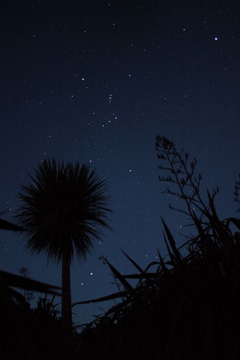 Orion Orion Constellation Wallpaper, Constellation Wallpaper, Orion's Belt, Orion Constellation, Cloudy Nights, A Level Photography, Stormy Night, Space Stars, Stars At Night