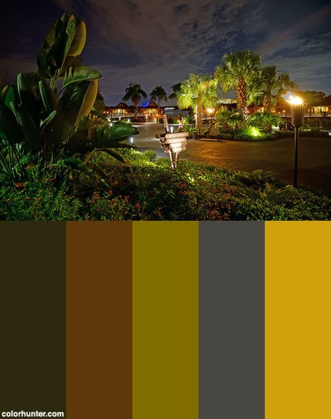 The Polynesian Color Scheme from colorhunter.com Disney Polynesian, Polynesian Village Resort, Polynesian Village, Village Resort, Tiki Bar, Pool House, Color Palettes, Color Scheme, Paint Colors