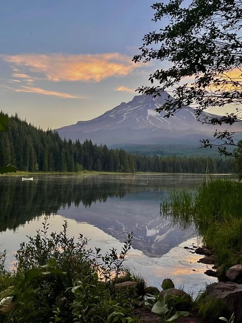 Trillium Lake in late summer. Peaceful. Tranquil. Serene. (Apparently, complete sentences eluded me on this morning 😆) by Mark Ostertag, vF 9-15-23 Trillium Lake, Complete Sentences, Fine Photography, Late Summer, Painting Inspiration, This Morning, Floating, Places To Visit, Around The Worlds