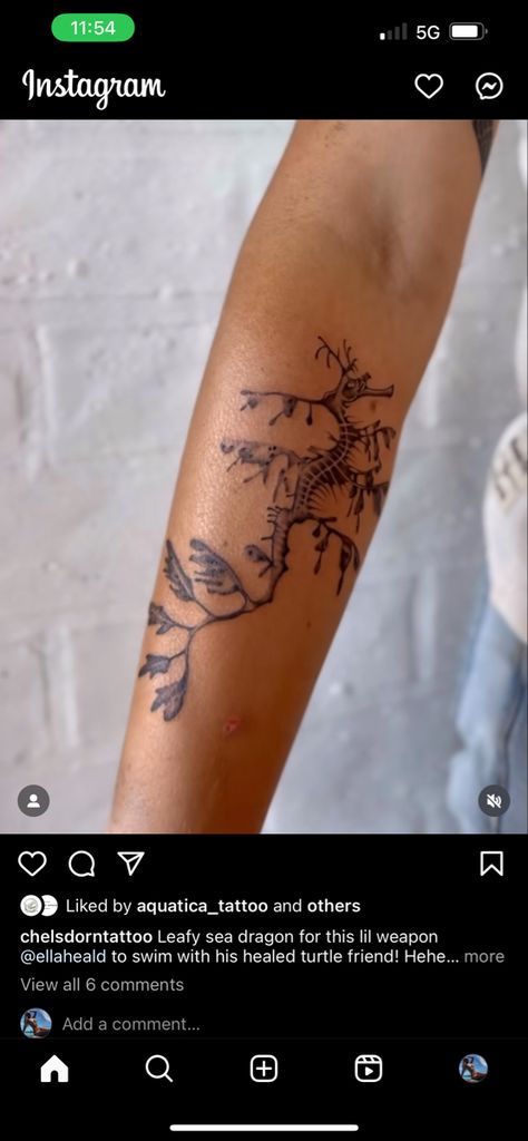 Ocean Coral Tattoo, Land And Sea Tattoo, Sea Anemone Tattoo, Leafy Sea Dragon Tattoo, Ocean Leg Tattoo, Coral Tattoos, Sea Dragon Tattoo, Tattoo Mural, Coral Reef Tattoo