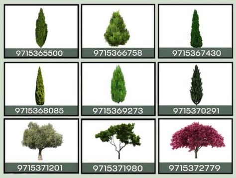 Plant Decal Codes For Bloxburg, Bloxburg Wallpaper Codes Cottagecore, 7ious Bloxburg Decals, Bloxburg Fake Plant Decals, Bloxburg Realistic Tree Codes, Bloxburg Grass Decals, Bloxburg Realistic Tree Decal Codes, Realistic Plant Codes Bloxburg, Realistic Tree Decals Bloxburg