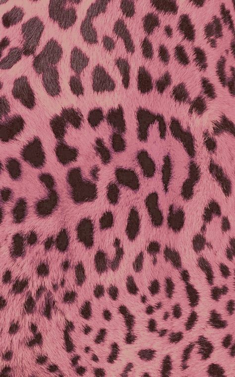 Dark Brown And Pink Aesthetic, Pink Cheetah Print Aesthetic, Dirty Pink Aesthetic, Ipad Makeover, Blue Collage, Pink Cheetah Print, Ipad Wallpapers, Color Board, Phone Inspo