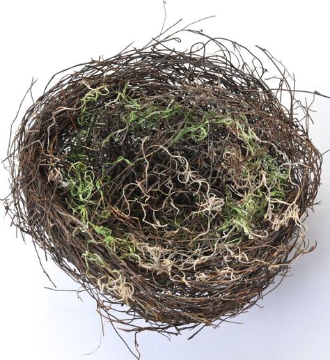 DIY Bird Nest - Make Life Lovely Diy Bird Nest, Diy Nest, How To Dye Eggs, Dye Eggs, Bird Nest Craft, Nest Art, Easter Nests, Diy Bird Bath, Artificial Birds