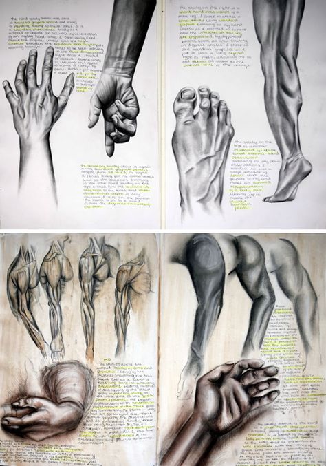 I like this figure drawing because of the massive amount of detail put into the hand and the foot at the top. I will aim to put this in my drawing. Drawings Of Hands, Sketchbook Layout, Art Alevel, Gcse Art Sketchbook, A Level Art Sketchbook, Gcse Art, Arte Sketchbook, A Level Art, Ap Art