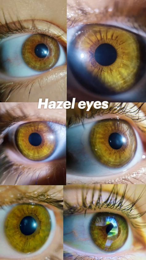 Facts About Hazel Eyes, Sun Eyes, Pretty Eyes Color, Hazel Brown Eyes, M Letter Images, Beautiful Eyes Color, Eyeshadow Products, Eyes Color, Best Winter Outfits