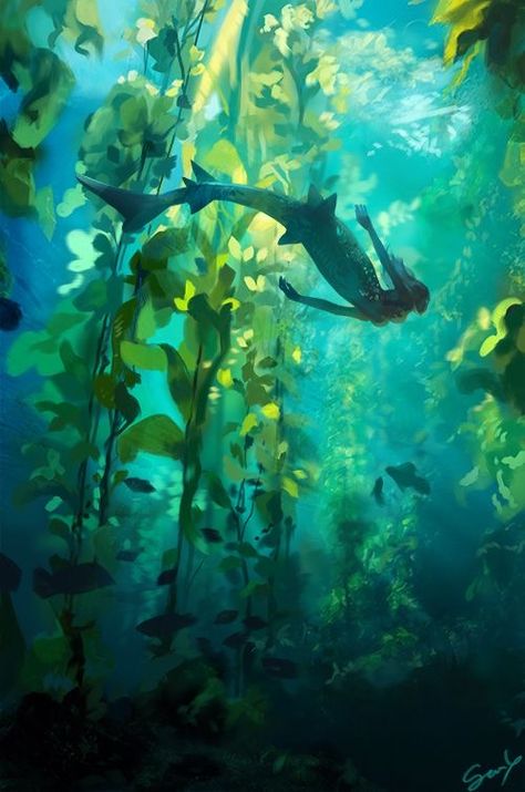 숲 사진, Underwater Scene, Underwater Art, Fantasy Art Landscapes, Mermaid Art, Arte Fantasy, 판타지 아트, Environment Concept Art, Environmental Art