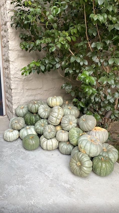 Kim Kardashian Reveals a Glimpse of Her Understated Monochromatic Halloween Decorations Chic Halloween Decor, Planting Pumpkins, Chic Halloween, Autumn Magic, Blue Pumpkins, Green Pumpkin, Halloween Photos, Pumpkin Theme, Fall Decor Ideas