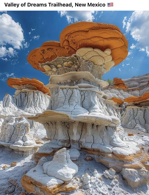 Stone Mushrooms, Utah Parks, New Mexico Road Trip, Natural Scenery, Environment Design, Incredible Places, In The Desert, Beautiful Places To Visit, The Desert