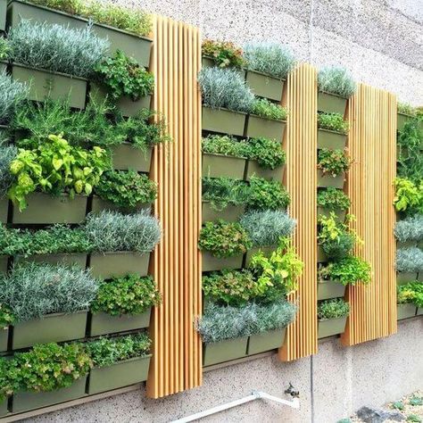 37 Beautiful Vertical Garden Ideas To Adorn Your Patio - 294 Verticle Gardening Ideas, Living Walls Outdoor, Live Walls, Herb Garden Wall, Vertical Vegetable Gardens, Garden Wall Designs, Vertical Garden Design, Small Vegetable Gardens, Vertical Garden Wall