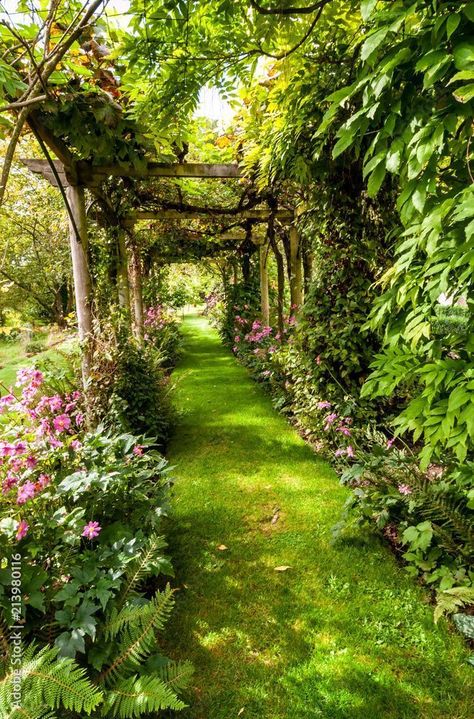 Unlocking the Secret to Big Garden Cottage Success #HomeDecor #HomeStyle #InteriorDesign #HomeInspiration #HomeIdeas #DecorTips #InteriorInspo #DecorInspiration #HouseGoals #HomeDecorating Pergola Archway, Taman Vintage, Dream Garden Backyards, Front Lawn Landscaping, Backyard Covered Patios, Sacred Garden, Fall Garden Vegetables, Cottage Garden Design, Recycled Garden