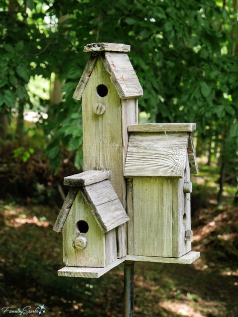 Vacant Rustic Wooden Condo Birdhouse @FanningSparks | Are Gourds for the Birds? – FanningSparks Lady Banks Rose, Brown Thrasher, Beautiful Birdhouses, Birdhouses Rustic, Unique Bird Houses, For The Birds, Nesting Boxes, Decorative Pots, Beautiful Backyards