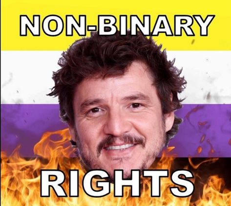 Pedro pascal/non binary meme/pride month/happy pride/Pedro pascal meme/arson/fire/non binary pride/trans pride/gay pride/non binary Non Binary Memes Hilarious, Non Binary Names, Non Binary Aesthetic, Nonbinary People, Non Binary Pride, Non Binary People, Lesbian Quotes, I Hate Everything, Gender Binary