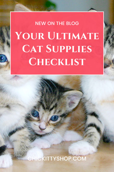 Your Ultimate Cat Supplies Checklist Healthy Cat, Owning A Cat, Happy And Healthy, Cat Supplies, Litter Box, Studio Apartment, Apartment Living, Things To Buy, Pet Care