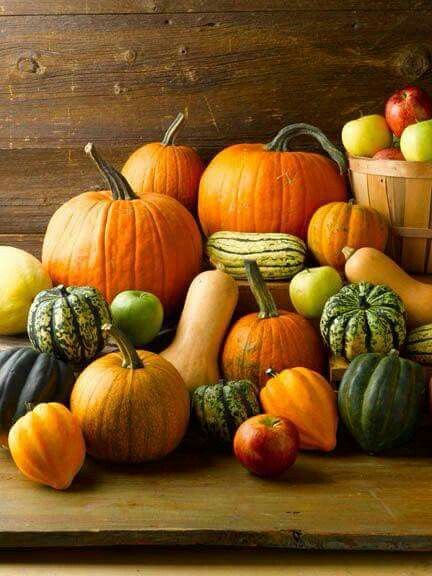 Beautiful Deco Fruit, Country Woman, Pumpkins And Gourds, Harvest Time, Fabulous Fall, Autumn Beauty, Fall Pictures, Fruit And Veg, Fall Harvest