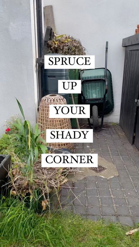 noughticulture on Instagram: AD| How to spruce your shady spot! Tricky shady corners, especially if they're paved, can easily become dumping grounds. I've teamed up… Ideas For Shady Corner Of Garden, Shady Garden Corner Ideas, Shady Corner Garden Ideas Backyards, Shady Garden Ideas Uk, Shady Corner Garden Ideas, Shady Garden Ideas, Shady Backyard Ideas, Garden Ideas Uk, Garden Improvement