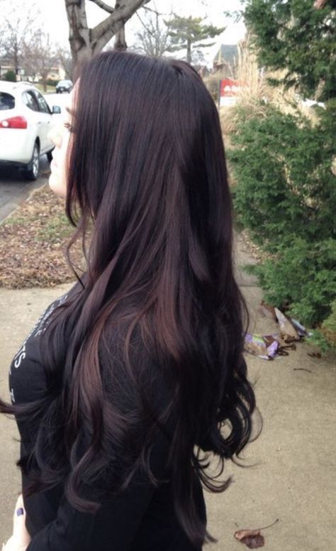 Black Cherry Hair Color, Black Cherry Hair, Cherry Hair Colors, Cherry Hair, Long Dark Hair, Super Hair, Trendy Hair, Hair Color Dark, Hair Black