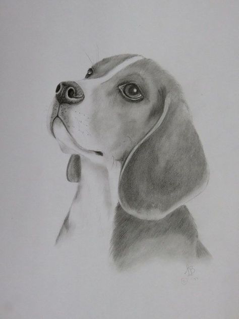 beagle dog made by Linda Bakker art Bird Pencil Drawing, Pencil Drawing Images, Drawing Competition, Animal Drawings Sketches, Pen Art Drawings, Dog Sketch, Meaningful Drawings, Art Sketches Pencil, Pencil Drawings Easy