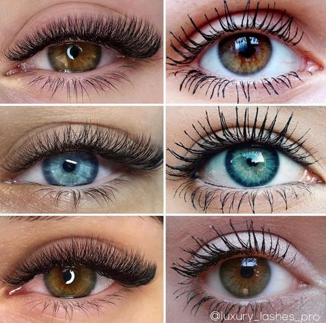 Wet Mascara Lash Extensions Mapping, Mascara Vs Lash Extensions, Mascara Effect Lash Extensions, 10-15 Mm Lash Extensions, Lash Extensions Russian, Brow Tinting, Lash Artist, Mink Lashes, Revlon