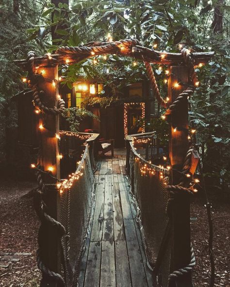 Treehouse Camping: 12 Places to Find Camping in the Branches Summer Camp Aesthetic Cabin Interior, Treehouse Bridge, Aesthetic Treehouse, Treehouse Glamping, Treehouse Camping, Treehouse Interior, Treehouse Point, Beautiful Tree Houses, How To Build A Log Cabin