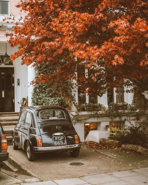 Moody Fall Aesthetic, Fall Aesthetic Leaves, Autumn Season Nature, Aesthetic Leaves, European Town, Autumn Tree, Claire Fraser, Fall Mood, Look At The Sky