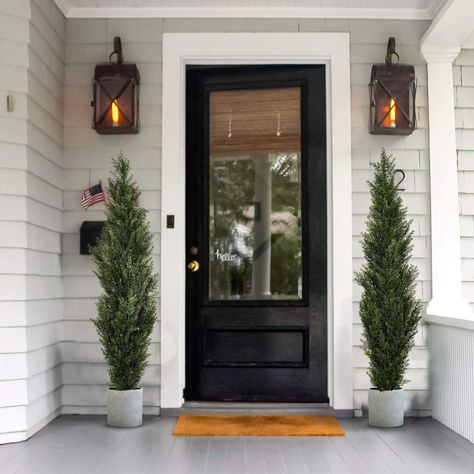 Two realistic potted plants for your front porch. Topiary Trees Front Door, Plants For Front Porch, Indoor Topiary, Front Porch Entrance, Potted Topiary, Cedar Topiary, Front Door Landscaping, Front Door Plants, Front Door Planters