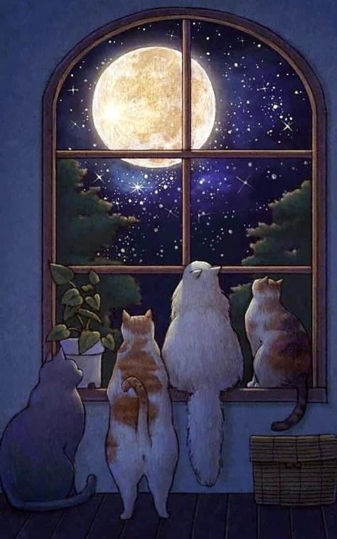 Canvas For Beginners, Looking Out The Window, Fairytale Art, Beginner Painting, The Night Sky, Dreamy Art, Moon Art, Cat Illustration, Cat Drawing