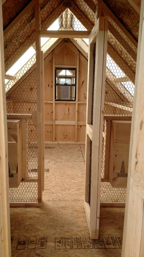 Chicken Coop In Barn, Barn Stall Chicken Coop, Barnyard Chicken Coop, Metal Building Chicken Coop, Divided Chicken Coop, Large Walk In Chicken Coop, Mini Chicken Coop, Chicken Coop Layout, Chicken Coop Shed