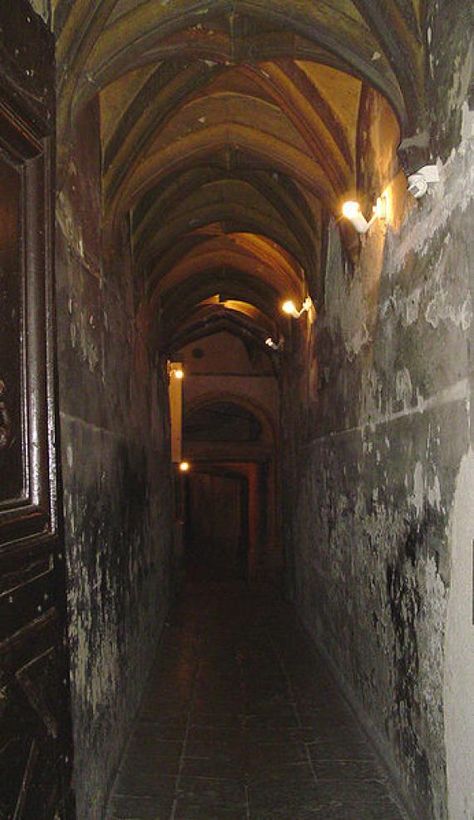 TRABOULES SECRET PASSAGES Hundreds of hidden passageways weave through the old quarters of Lyon Hidden Passageways, Secret Passage, Hidden Passage, Secret Passages, Secret Tunnel, Secret Passageways, Lyon France, Stone Walls, Secret Rooms