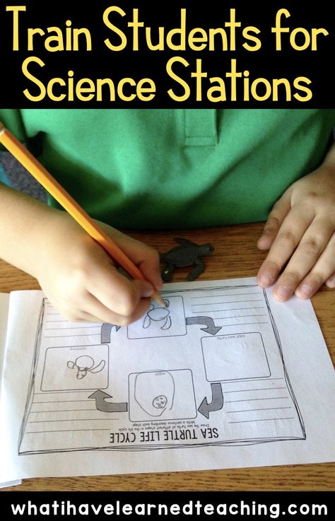 4 Tips for Successful Elementary Science Stations Teach Boxes, Ar Reading, Elementary Science Classroom, Sixth Grade Science, Elementary Stem, Montessori Science, Science Centers, Science Room, Science Stations