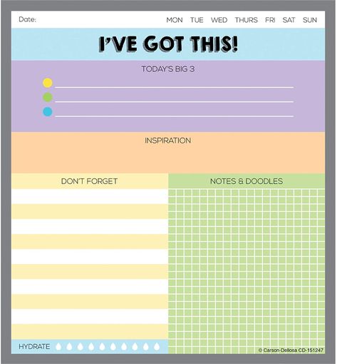 Daily Planner Notepad, Homework Organization, To Do List Notepad, Teacher Notepad, Note Doodles, College School Supplies, Carson Dellosa, Ive Got This, Daily Checklist