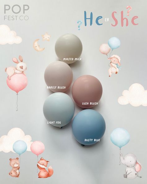 DIY Balloon Garland Arch Kit / Custom High Quality MATTE Colors Pastel, Pink, Blue, Gender Reveal, Baby Shower, Boy or Girl, Baby Birthday - Etsy UK Pink Blue Gender Reveal, Blue Gender Reveal, Boy Or Girl Baby, Matte Colors, Gender Reveal Balloons, Color Catalog, Balloon Pop, Mini Balloons, Diy Balloon