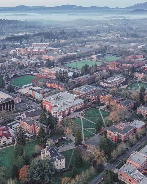 Oregon State University on Instagram: "Home 🧡 #GoBeavs #BeaverNation #OregonState" Oregon College, Corvallis Oregon, College Majors, Oregon State Beavers, Oregon State University, Dream College, University Of Oregon, Oregon State, February 22