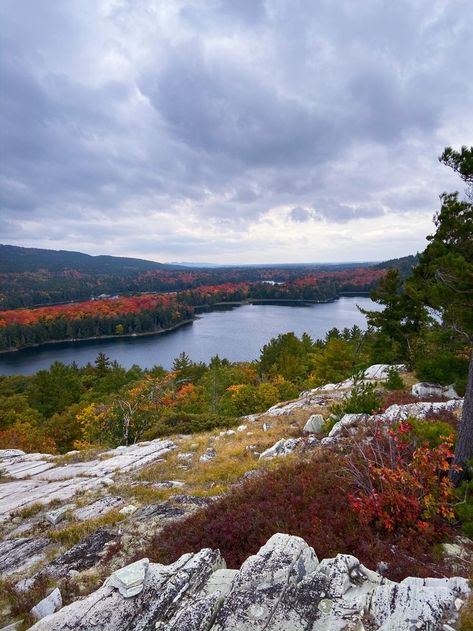 Backcountry camping trip to Killarney Provincial Park wouldn't be complete without a hike to Silver Peak, the highest point of the La Cloche mountains.
#camping #hiking #ontario #killarney #provincialparks Ontario Camping, Mountains Camping, La Cloche, Backcountry Camping, Nitty Gritty, Killarney, Camping Trip, Girl Falling, Camping Trips