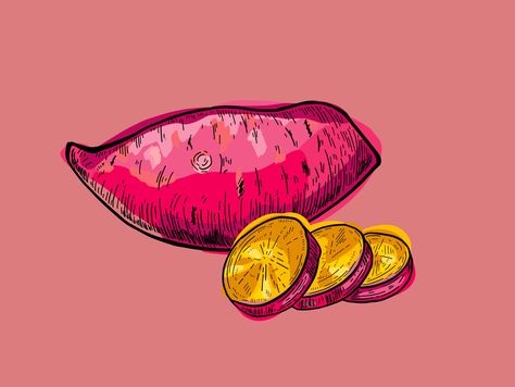 Yam Drawing, Sweet Potato Illustration, Sweet Potato Snacks, Vegetable Illustration, Stuffed Potato Balls, Healthy Vegetable, Illustration Styles, Healthy Vegetables, Food Illustrations