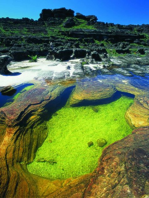 Venezuela Beaches, Monte Roraima, Mount Roraima, Travel Humor, Places Around The World, Beach Sunset, Solo Travel, Beautiful World, South America