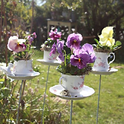 Teacup Fairy Garden, Tea Cup Garden, Vegetable Garden Soil, Teacup Gardens, Teacup Crafts, Creative Planter, Hgtv Garden, Tafel Decor, Mini Gardens